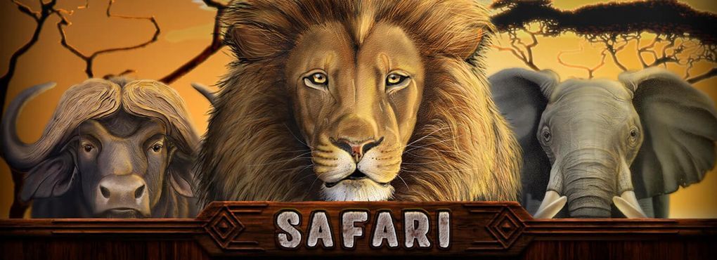 Safari Slots